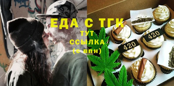 шишки Лабытнанги