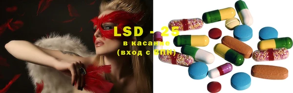 ПСИЛОЦИБИНОВЫЕ ГРИБЫ Краснотурьинск