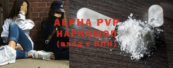 амф Великий Новгород