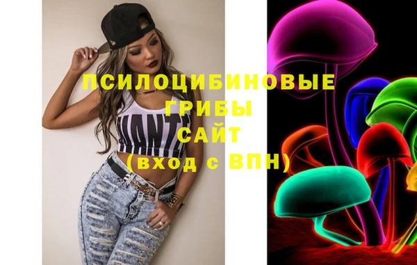 молекула духа Красноперекопск