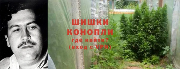 молекула духа Красноперекопск
