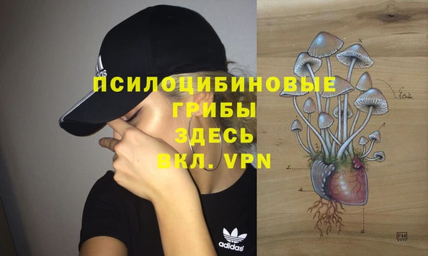 кокс Лагань