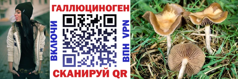 Псилоцибиновые грибы ЛСД Куровское
