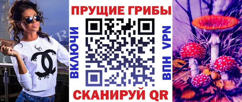 площадка наркотические препараты  Куровское  Псилоцибиновые грибы ЛСД  купить наркотик 